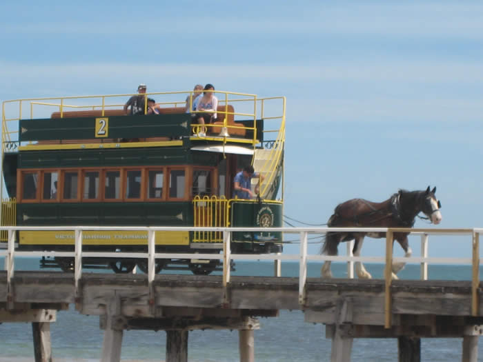 Victor Harbor horse drawn tram