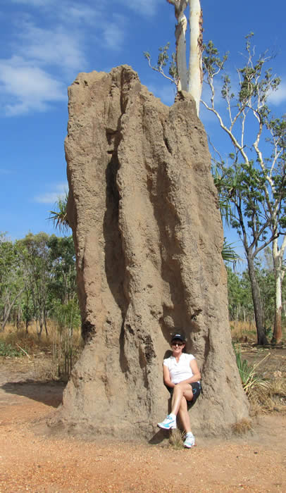 Catheral termite mound