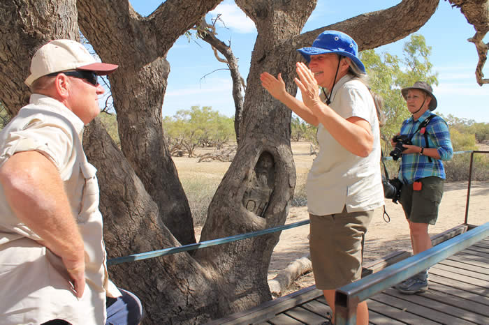 Burke and Wills "Dig Tree" outside Innamincka