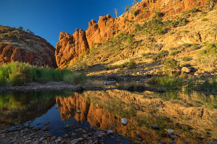 Early morning at Glen Helen Gorge. Photo by Andrew Goodall