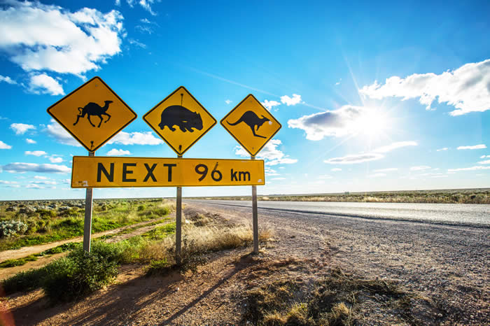Nullarbor road sign by Greg Snell
