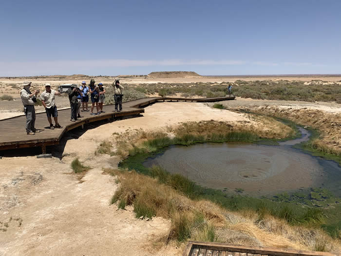 Oodnadatta Track Mound Springs