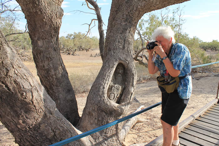 Burke and Wills Dig Tree