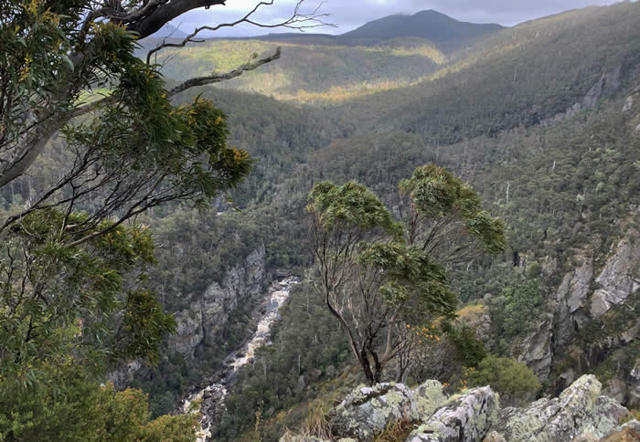 Leven Canyon Tasmania