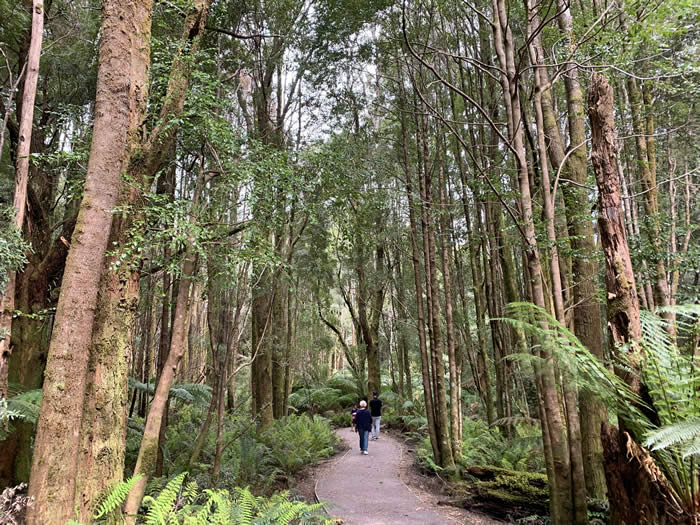 Walking through the Tasmanian Wilderness