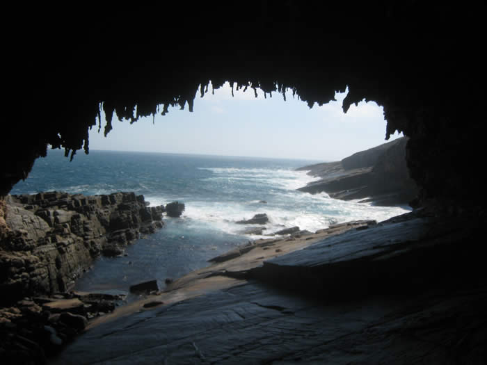 Kangaroo Island small group touring