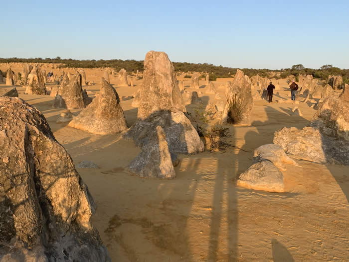 The Pinnacles in Nambung NP