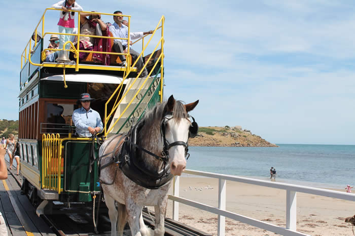 Victor Harbor horse drawn tram