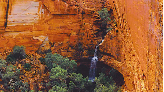 Tour to Kings Canyon