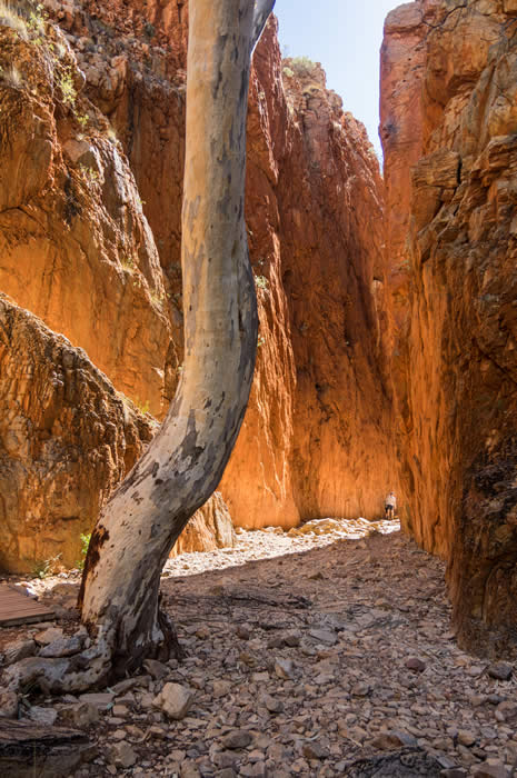 Standley Chasm. Photo by Andrew Goodall