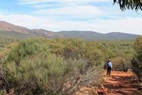 Walking to the Wilpena Pound Lookout