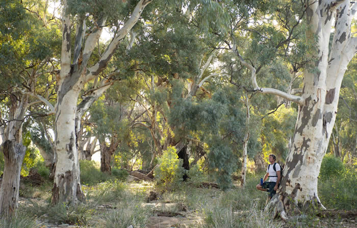 Hiking in the Fliners Ranges. Photo courtesy of the South Australia tourist commission