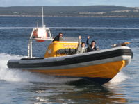 cruise on Kangaroo Island