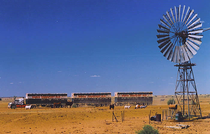 Road train